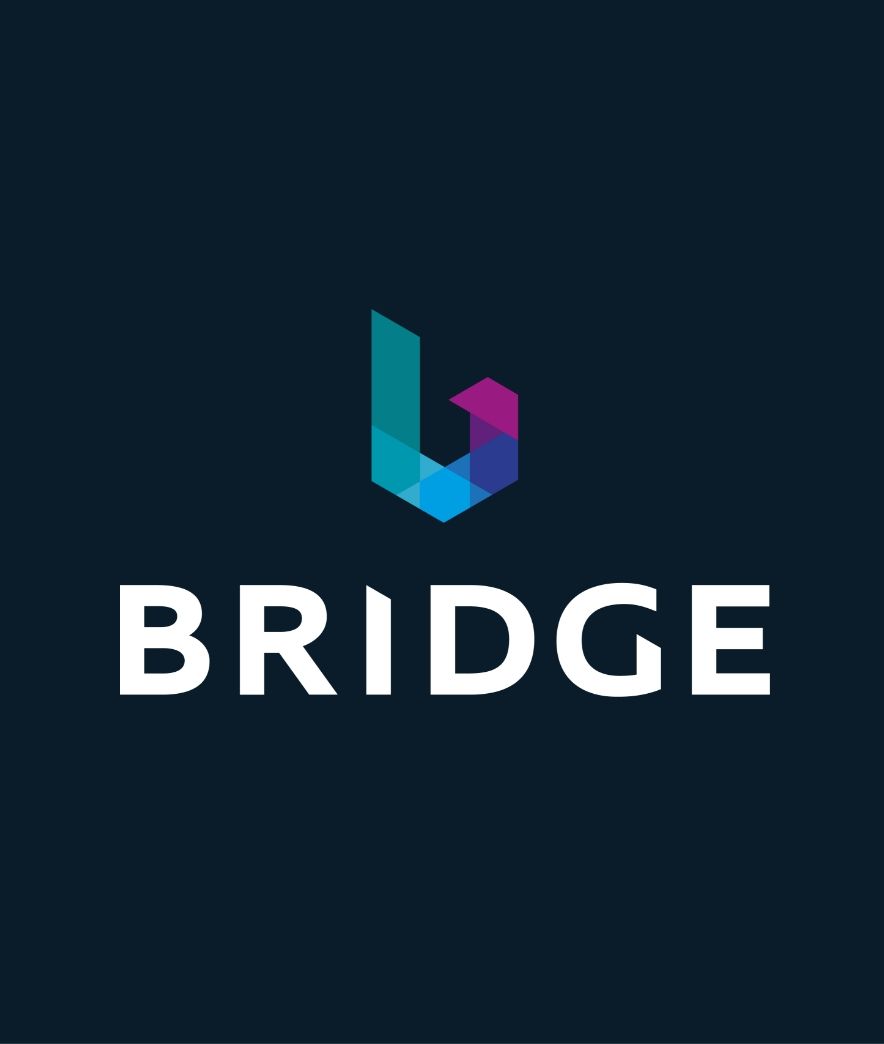 Bridge logo